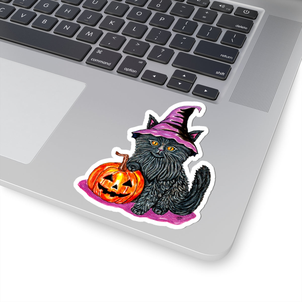 Witchy Kitty
