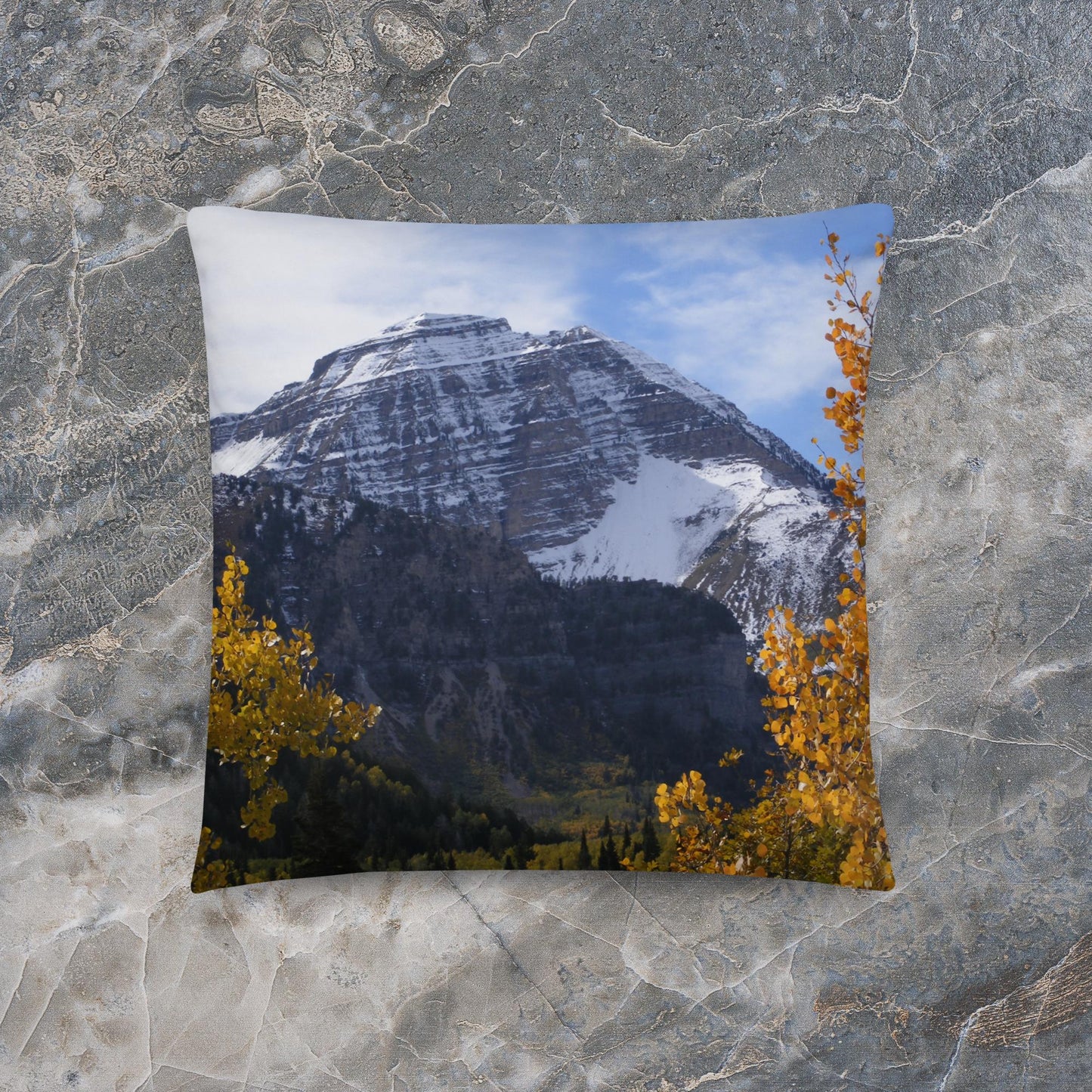 Mountain and Aspen Basic Pillow