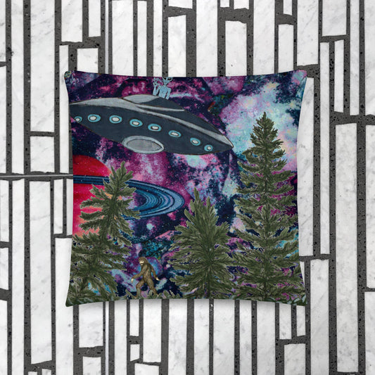 Hitchhiking the Universe Basic Pillow